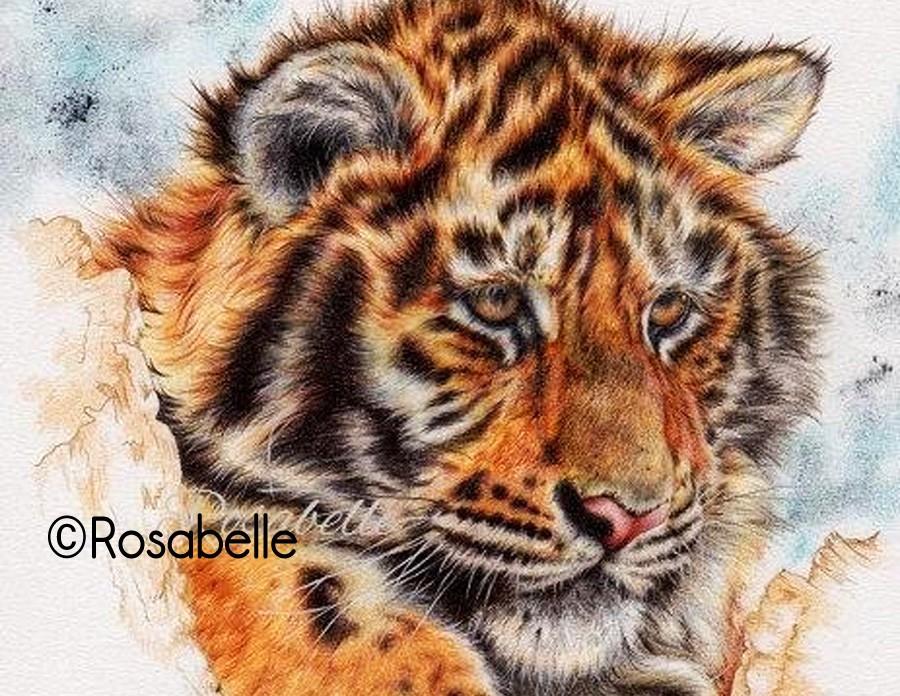 Stunning Tiger Artwork by Rosabelle and Symbolic Tiger Meanings