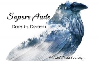 Sapere Aude Avia Whats Your Sign