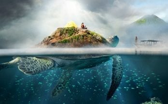 Turtle Myth, World Turtle, Turtle Meaning