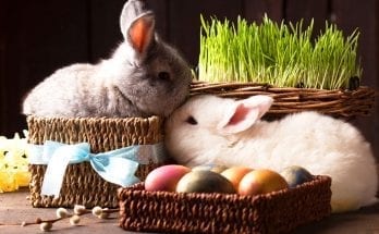 Easter meaning Easter symbols