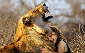 animal totems at birth