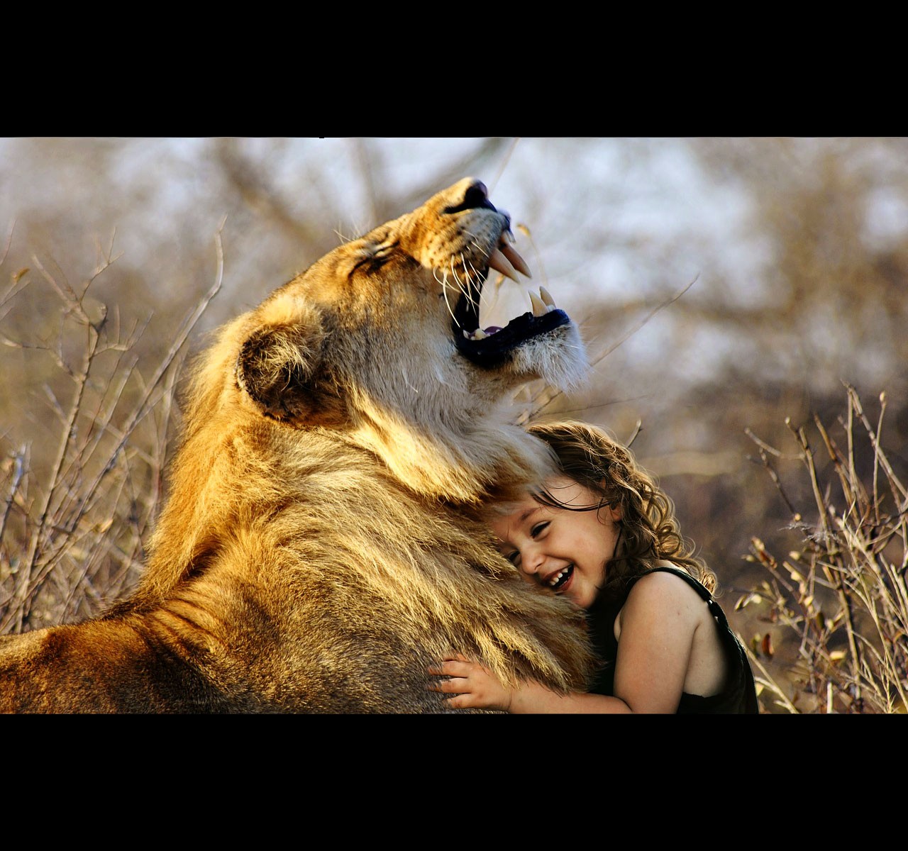 Animal Totems at Birth Part Two