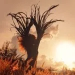 tree meaning and intuition