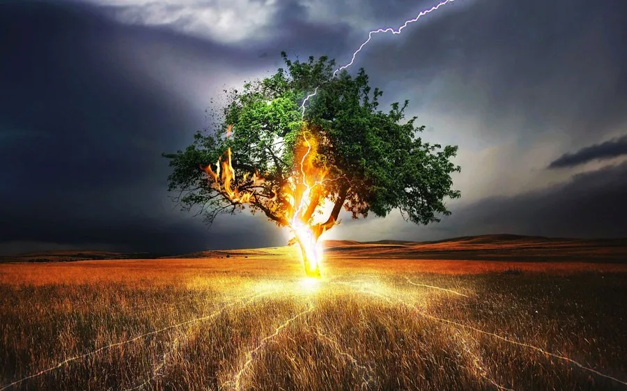 tree meaning and intuition