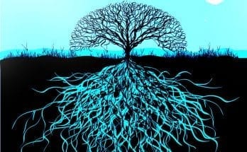 tree of life symbol