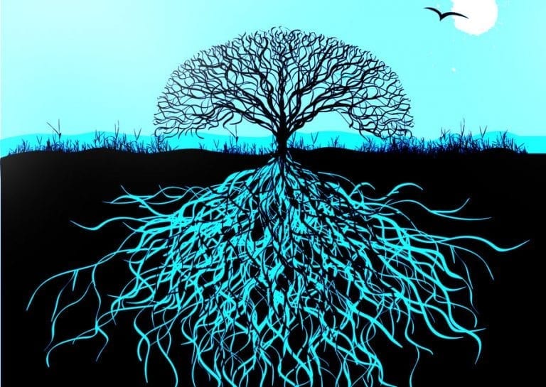 tree of life symbol