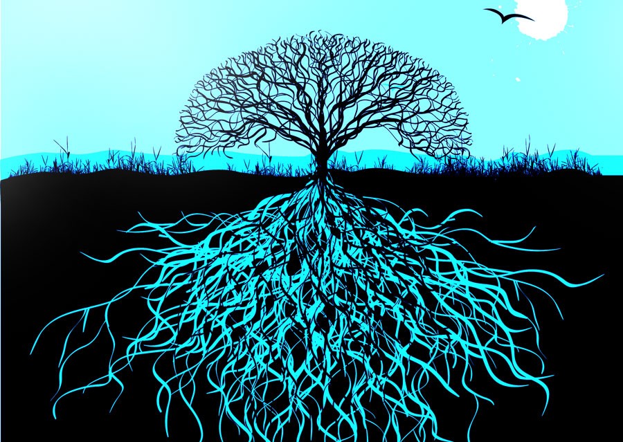The Tree as a Spiritual Symbol and a Symbol of Life
