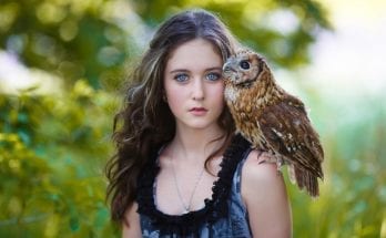 owl totem messages