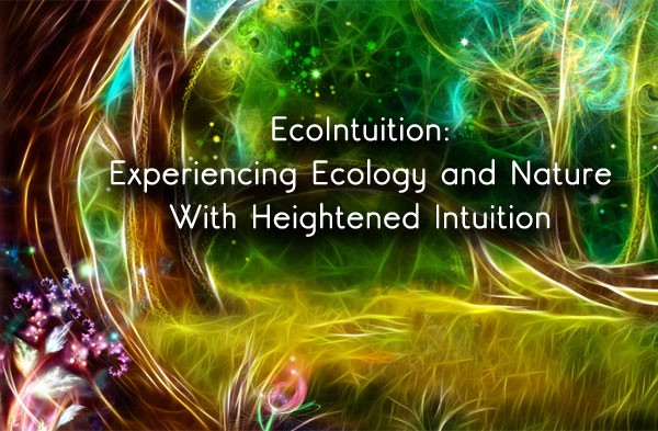 EcoIntuition Meaning