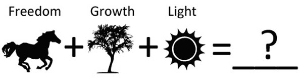 Using pictograms for interpreting symbolic meanings