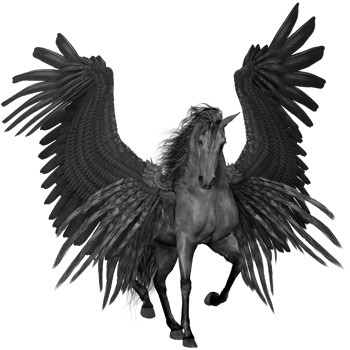 symbolism of winged horses and winged horse meaning