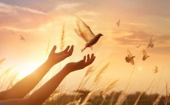 meaning of halcyon days