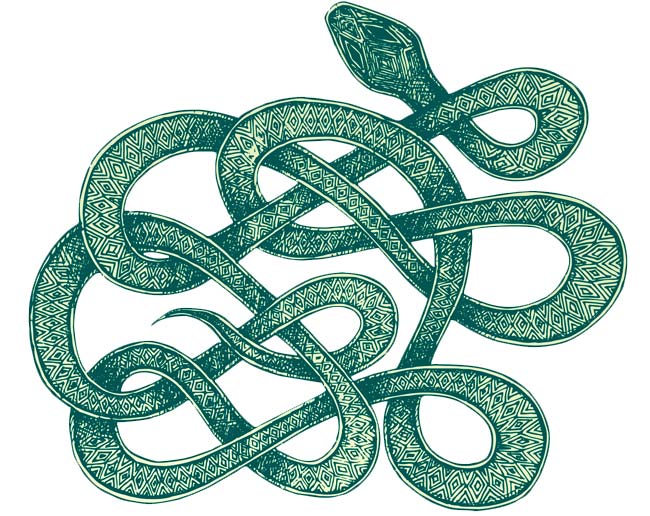 Snake Tattoo Meanings and Symbolism - wide 4