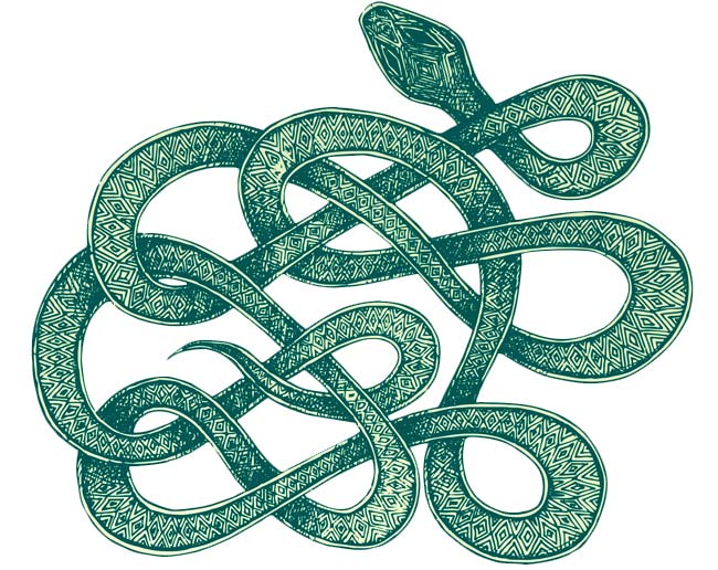 Snake Meaning and Snake Tattoo Ideas on Whats-Your-Sign