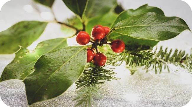 Symbols of Christmas