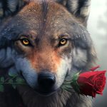 Valentine's Day Meaning and Wolf Messages