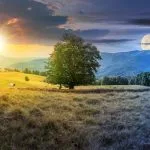 Astrology and the Seasons