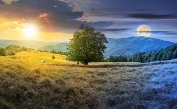 Astrology and the Seasons