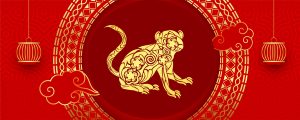 Monkey Chinese Zodiac Sign Meaning and Chinese New Year