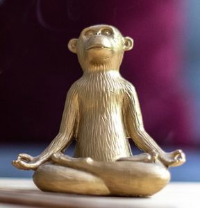 Monkey Chinese Zodiac Sign Meaning and Chinese New Year