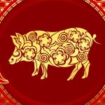 Pig Chinese Zodiac Sign Meaning and Chinese New Year