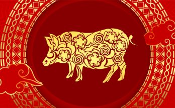 Pig Chinese Zodiac Sign Meaning and Chinese New Year