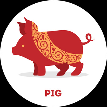 Pig Chinese Zodiac Sign Meaning and Chinese New Year