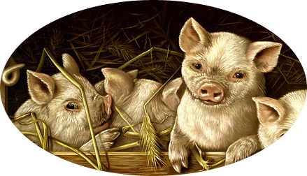 Pig Chinese Zodiac Sign Meaning and Chinese New Year