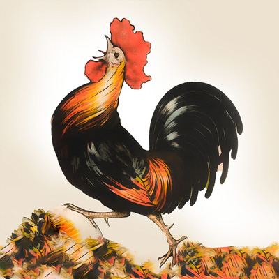 Rooster Chinese Zodiac Sign Meaning and Chinese New Year