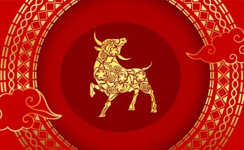 Ox Chinese Zodiac Sign Meaning and Year of the Ox