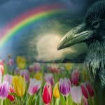 Crow Moon Meaning