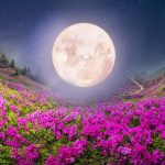 Full Pink Moon Meaning