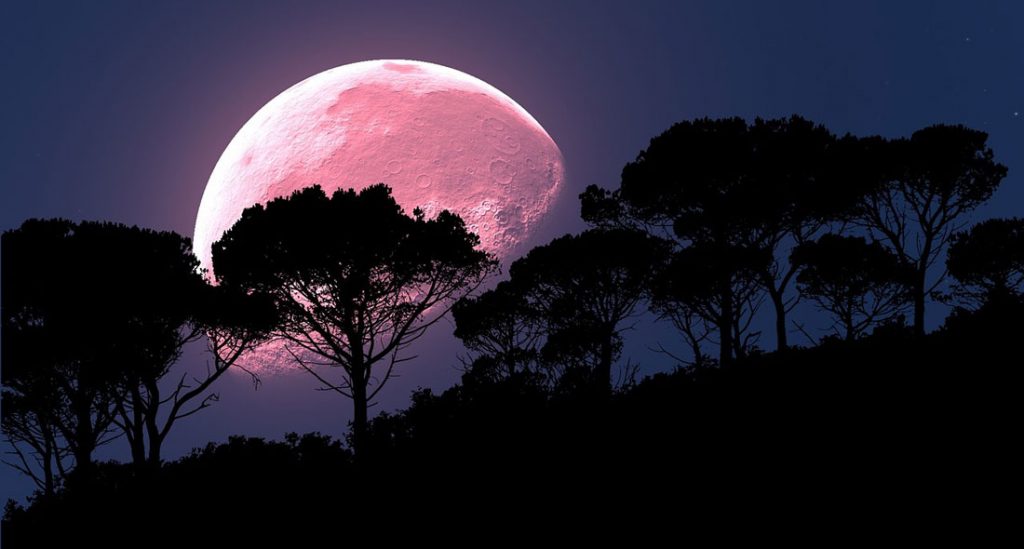 Full Pink Moon Meaning in April