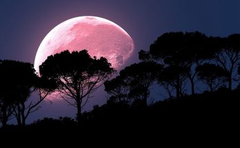 Full Pink Moon Meaning in April
