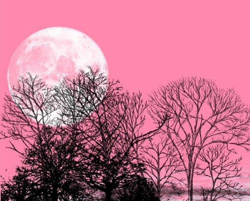 Full Pink Moon Meaning in April