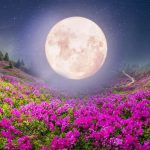 Symbolic and Spiritual Meaning of the Full Pink Moon of April