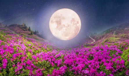 Symbolic and Spiritual Meaning of the Full Pink Moon of April