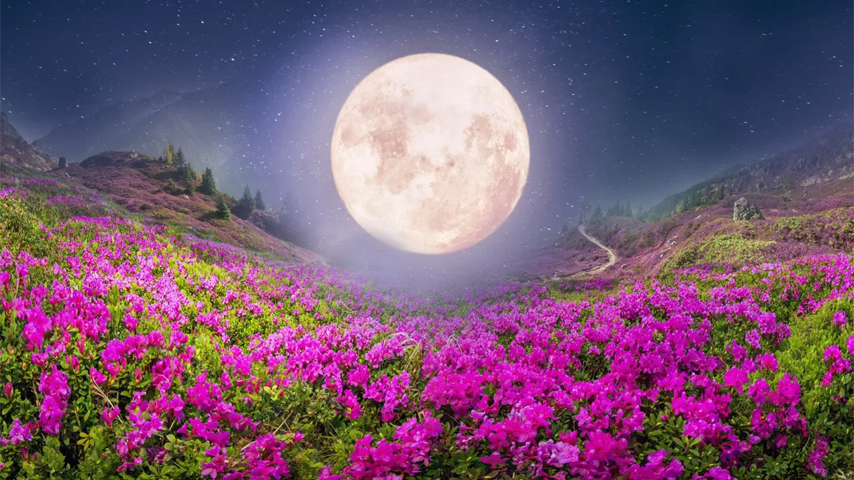 Symbolic and Spiritual Meaning of the Full Pink Moon of April