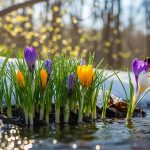 What Does Spring Symbolize?