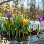 What Does Spring Symbolize?