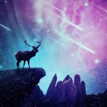 Algonquin Native American birth totem signs