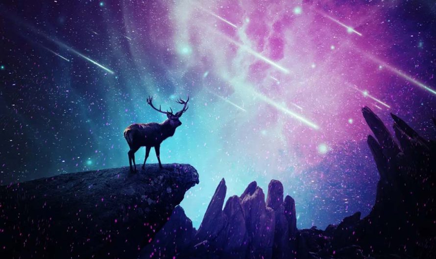 Algonquin Native American Birth Totem Signs