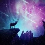 Native American Animal Birth Totem and Native American Zodiac Signs