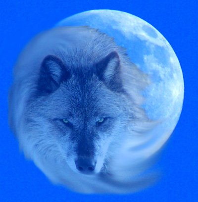 January Full Wolf Moon Meaning