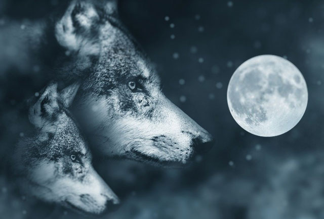 January Full Wolf Moon Meaning