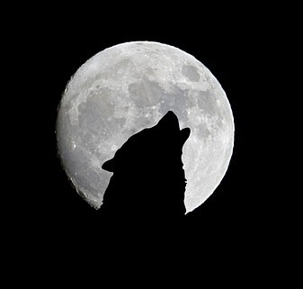 January Full Wolf Moon Meaning | Symbolism of the Wolf Moon in January ...