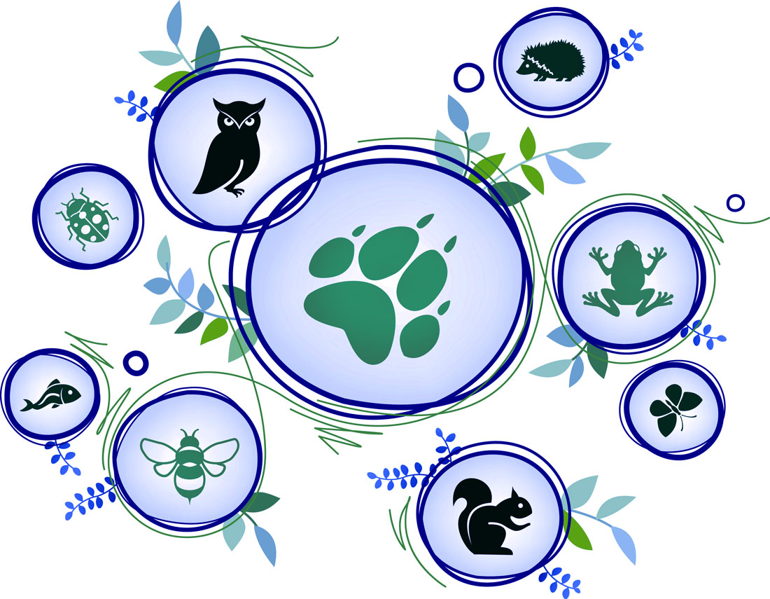 Animal Totems Animal Meanings Animal Symbolism by Avia on Whats