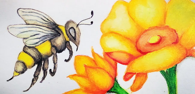 Symbolic Bee Messages
