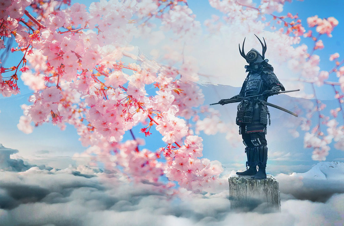 Cherry Blossom Meaning and Samurai Symbol for Strength