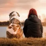 Shamanic Healing for Pets